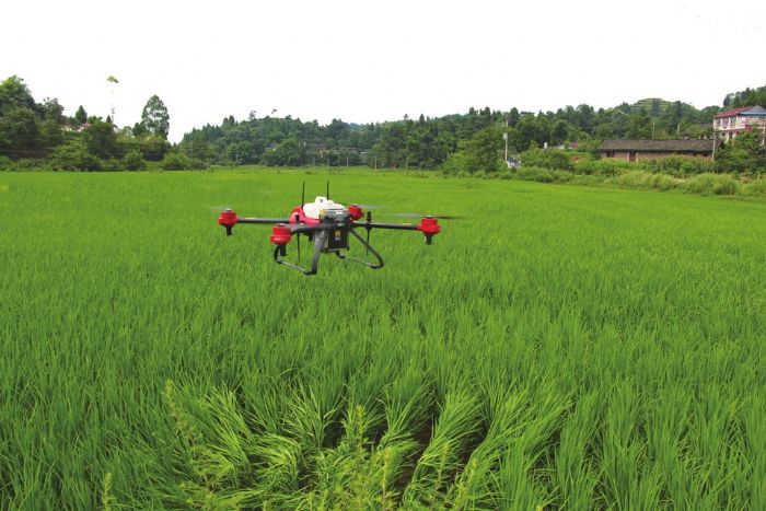 植保无人机在米心镇吉家村500余亩水稻示范片进行病虫害统防统治。
