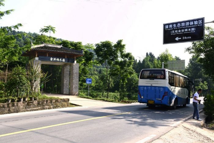 景区入口
