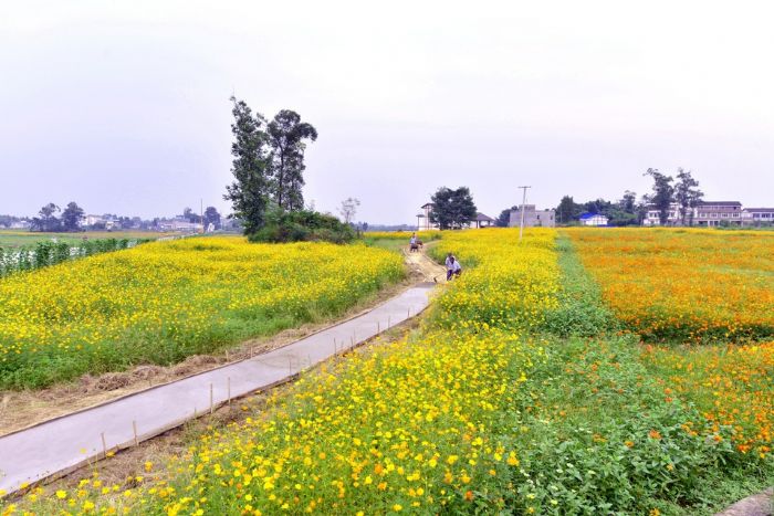 工人们忙着修建观光路道。
