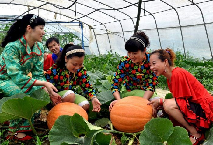 游客在蔬菜博览园合影。
