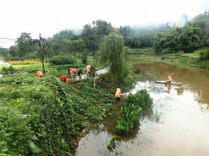 干部群众正在对河道清漂。
