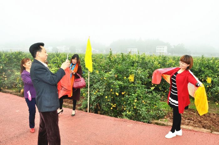 柠檬基地留个影。

