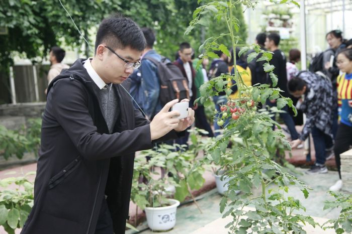 蔬菜基地，研究生们对以不同方式栽培的蔬果兴趣浓厚。
