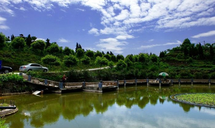 游客在浩然居垂钓。
