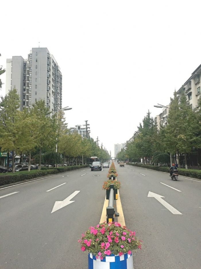 鲜花大道。
