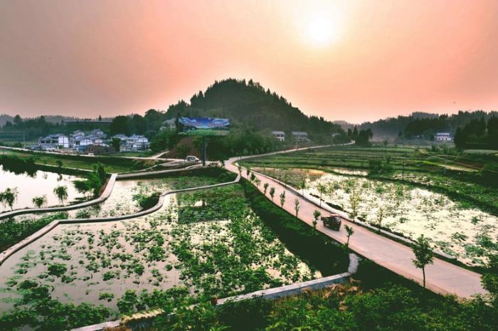 林湾村四通八达的农村公路。
