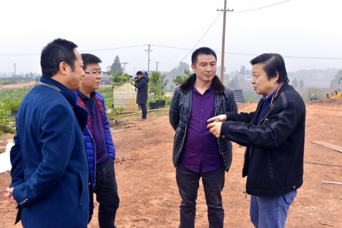 西南大学园艺园林学院院长梁国鲁（右一）到基地指导生产。
