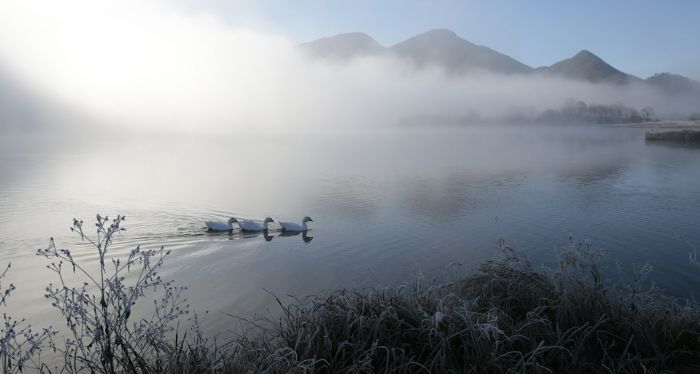 烟波浩渺的涪江
