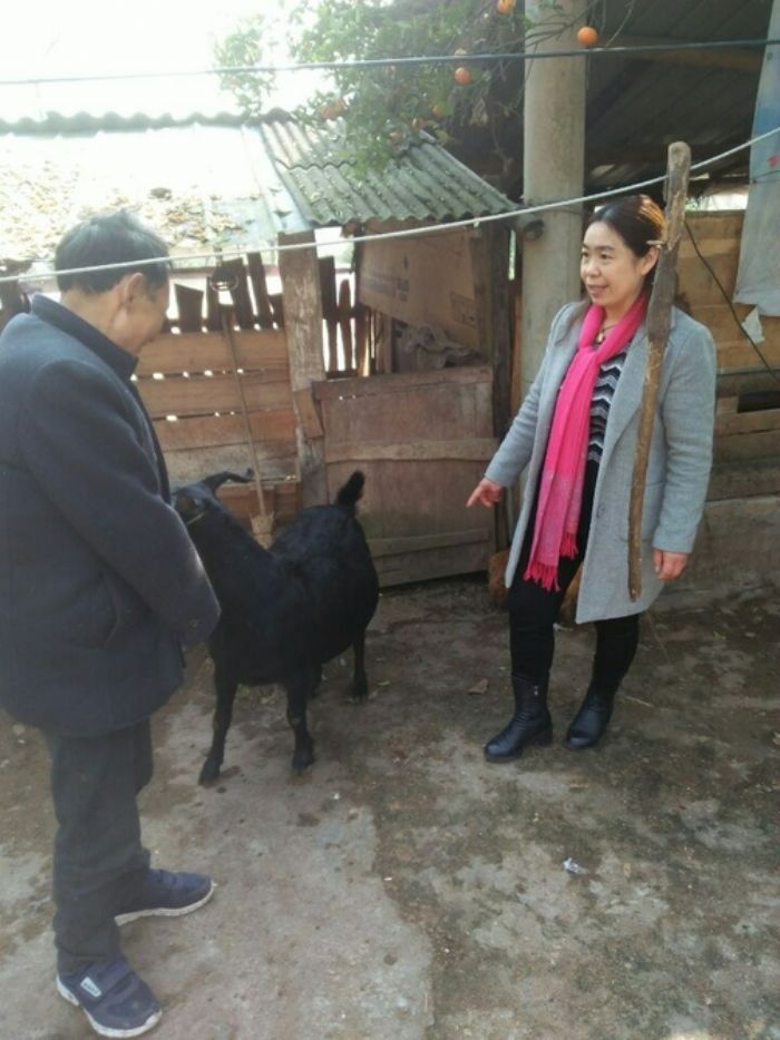 村干部走访罗吉华。
