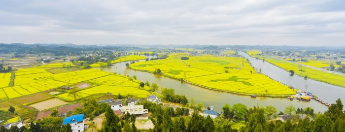 万亩油菜花
