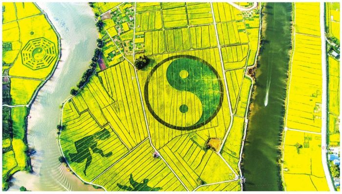 鸟瞰潼南油菜花海。中国旅游报记者唐安冰摄
