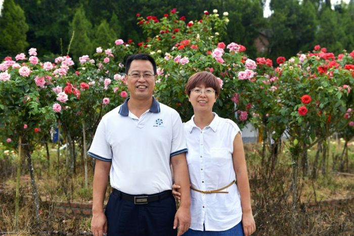 何泉李鹤夫妇在自家的玫瑰基地。
