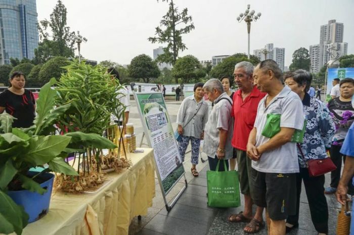 市民参观科技成果展。
