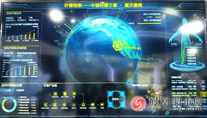 数字潼南——中国柠檬指数。
