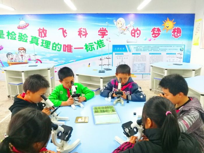 智慧小学学生观察叶的切片。
