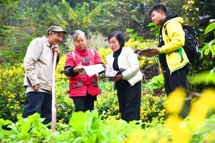 11月15日，宝龙镇严寨村干部为村民杨应洋（左一）土地丈量登记。
