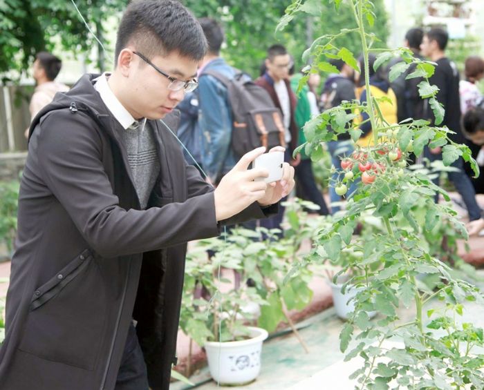蔬菜基地，研究生们对以不同方式栽培的蔬果兴趣浓厚。
