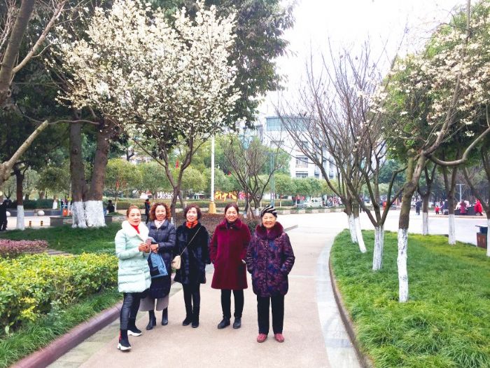 市民在奋进广场赏花。
