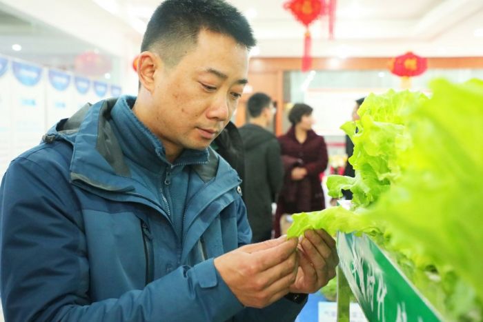 选手参观气雾蔬菜工厂培育的蔬菜。
