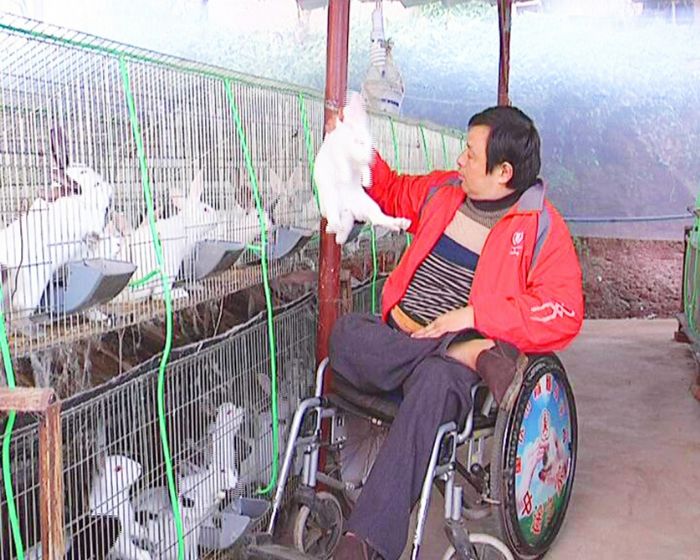 米泽建检查兔子生长情况。

