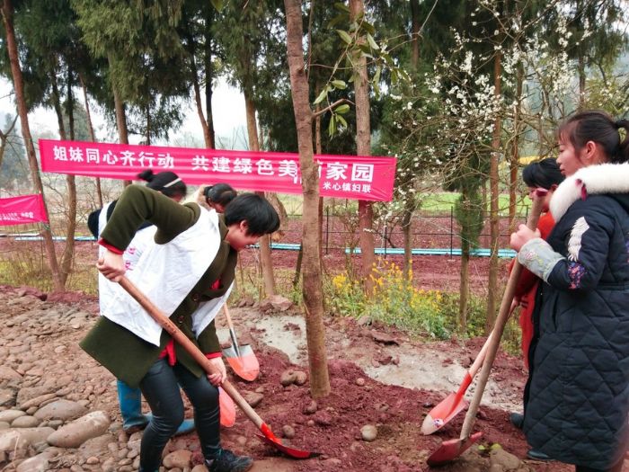 　　米心镇组织姐妹同心齐行动庆三八植树活动现场。
