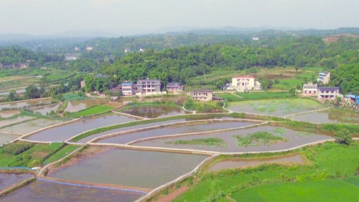 育苗基地鸟瞰图。
