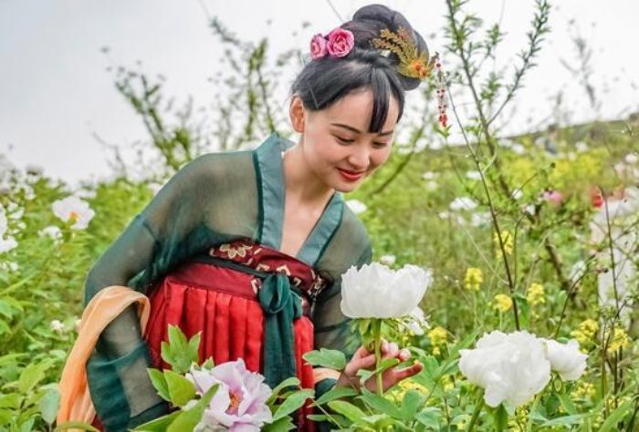 游客赏牡丹花。
