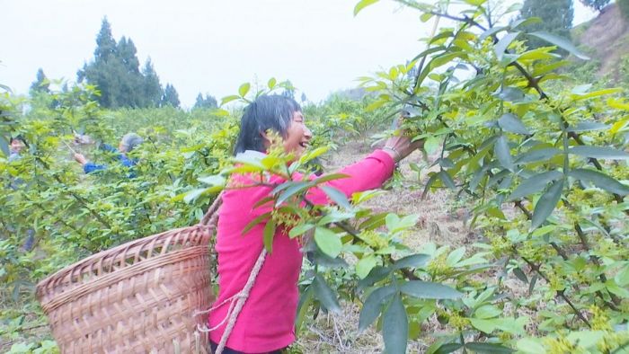 村民就近务工。
