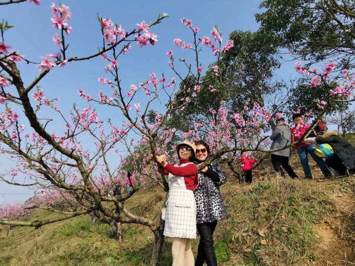 游客在桃花山合影。
