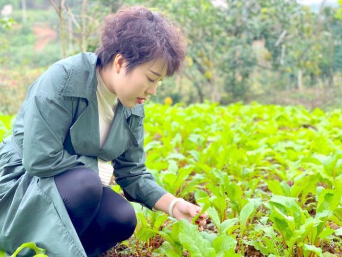 张甜在检查蔬菜长势。。
