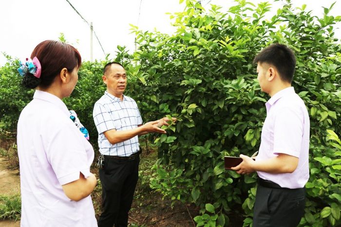 工作人员给种植户讲解业务。

