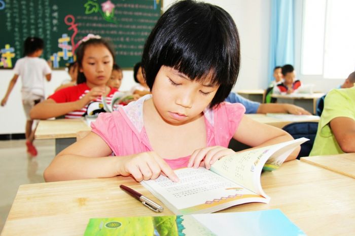 上和小学学生认真读书。
