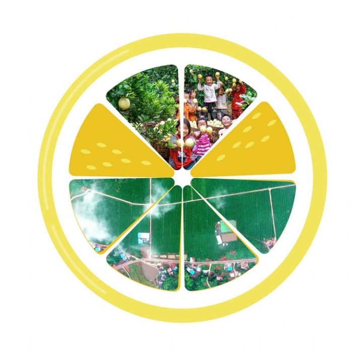 柠檬基地航拍
