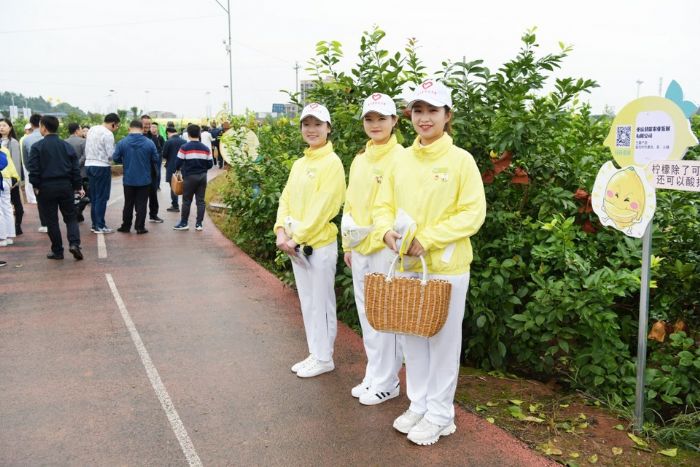 “潼小柠”为柠檬采摘服务
