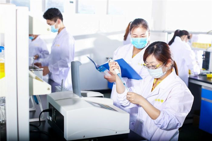 科技人员对柠檬深加工进行攻关。
