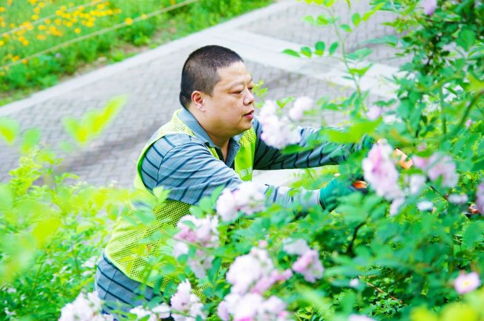 大自然的美容师叶凤英摄
