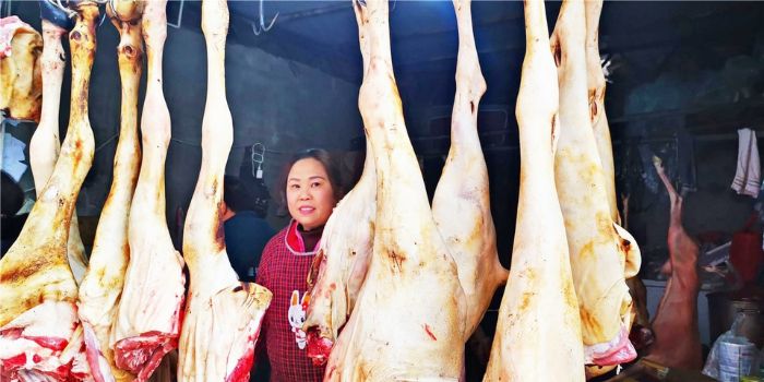 羊肉大量上市
