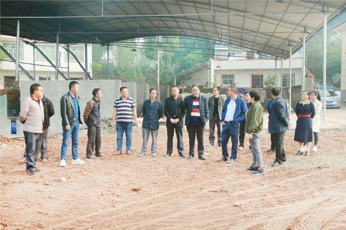　　▲别口镇开展人大代表督访，推动主题教育走深走实。
