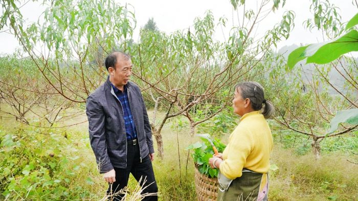 与村民探讨种植技术
