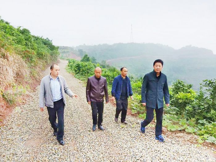 陈超带队研究天台村蜜柚基地发展前景
