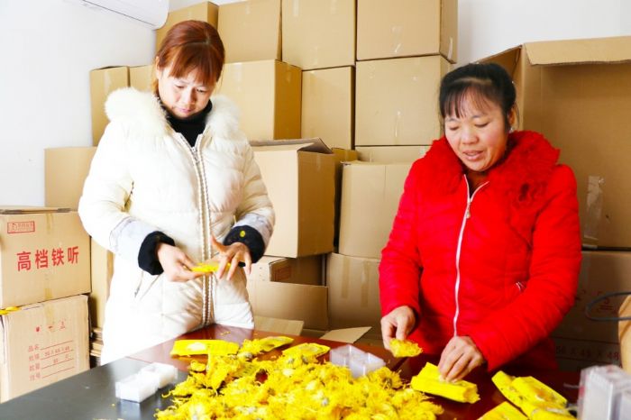 村民包装金丝皇菊
