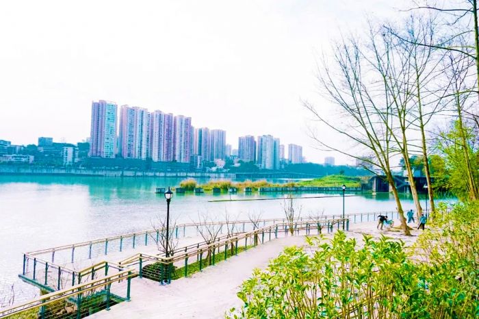 景色宜人的莲花公园。
