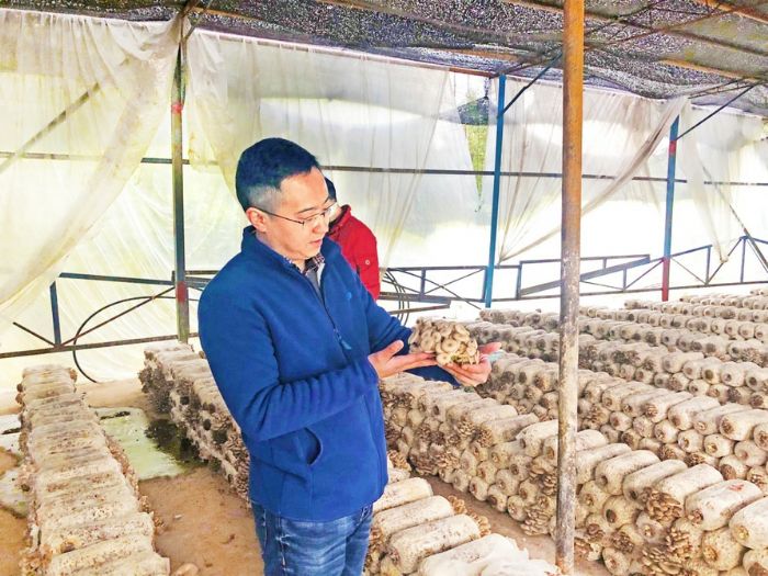 回访贫困户陈海的平菇基地
