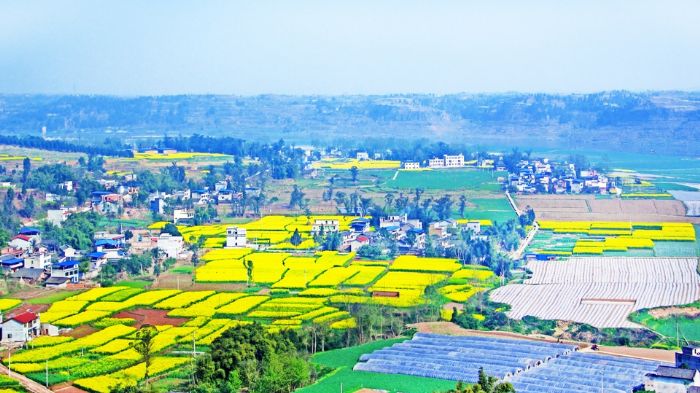玉溪镇乡村美景

