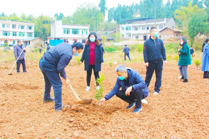 　　3月10日，柏梓镇开展了以“全民义务植树全民义务植树共建美共建美好家园”为主题的义务植树活动，共种植沃柑1300余株。
