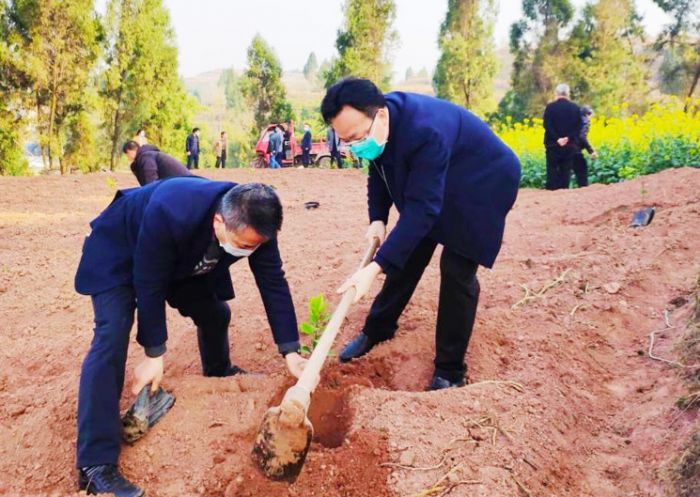 　　 3月1212日日，田家镇全体镇干部、村“两委”干部、群众代表、志愿者代表约150人参加春季义务植树活动，共栽下1000余余株树苗。
