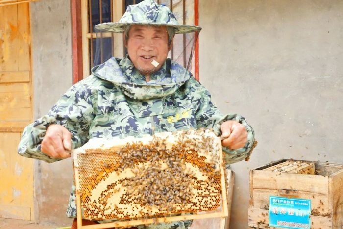 贫困户养蜂心里甜蜜蜜
