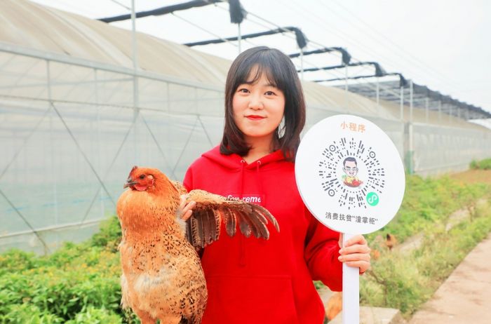 吃播沈妍老师现场抓鸡
