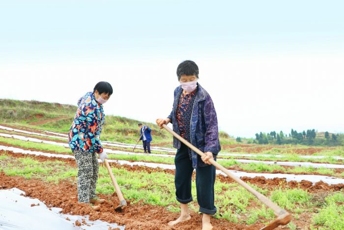 刘素勤（左）和居民们正在务工
