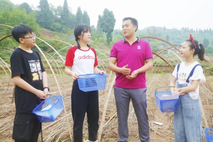 　　袁用在给“”潼掌柜”主播介绍姬松茸生长特点。
